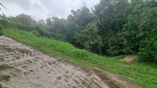 Vente Terrain FORT-DE-FRANCE 97200