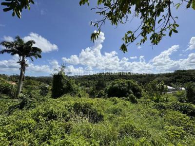 Vente Terrain SAINT-JOSEPH  972