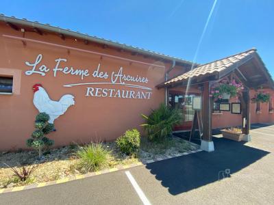 Vente Local commercial MONTAGNAT  01