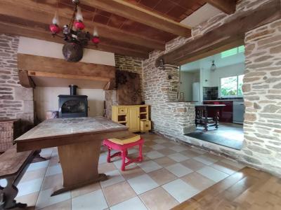 photo For sale House ROSPORDEN 29