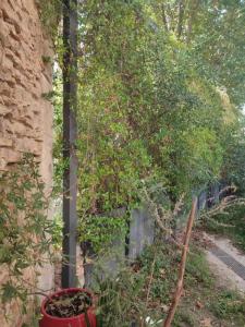 For sale House VENEJAN 