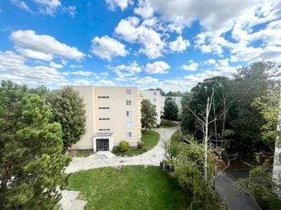 Location Appartement REIMS 