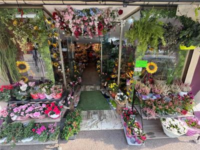 Vente Local commercial CAGNES-SUR-MER 06800