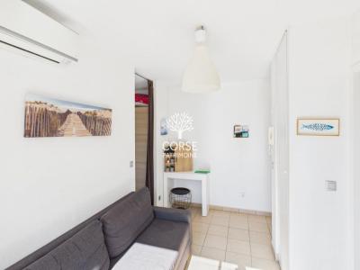 Location Appartement PORTO-VECCHIO 20137