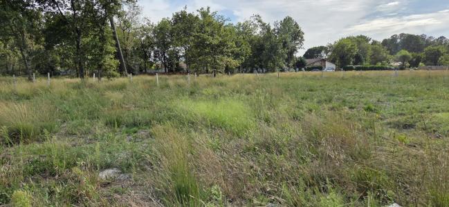 photo For sale Land PARENTIS-EN-BORN 40