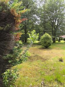 photo For sale Land PARENTIS-EN-BORN 40