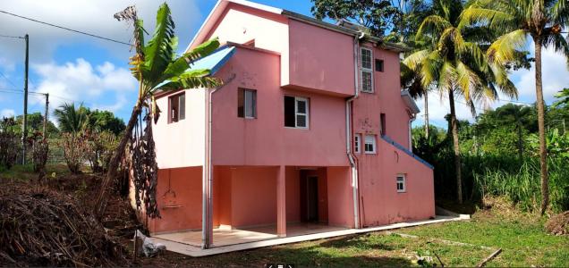 photo For sale House GROS-MORNE 972