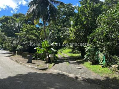 Vente Terrain TROIS-ILETS 97229