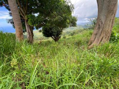 For sale Land MORNE-VERT  972