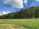 Vente Terrain Offemont 90
