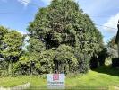 Annonce Vente Terrain Gouesnou