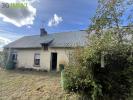 Acheter Maison 55 m2 Saint-germain-d'elle