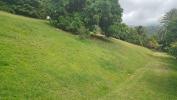 Acheter Terrain Carbet 196350 euros