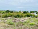 Annonce Vente Terrain Vauclin
