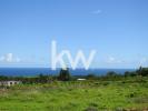 Vente Terrain Basse-pointe 972