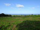 Acheter Terrain Basse-pointe 80000 euros
