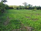Annonce Vente Terrain Basse-pointe