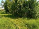 Land SALINS 