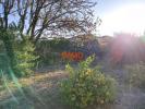 Annonce Vente Terrain Montbazin