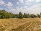 Land FERTE-IMBAULT 