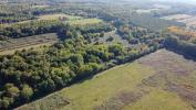 Forested aera LANGON 