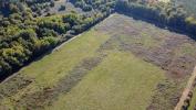 Forested aera LANGON 