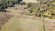 Forested aera LANGON 