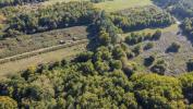 Forested aera LANGON 