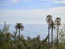 Vente Appartement Cannes 06