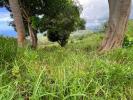 For sale Land Morne-vert 97226 10800 m2