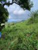 Annonce Vente Terrain Morne-vert