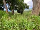 Acheter Terrain 10800 m2 Morne-vert