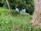 Acheter Terrain Morne-vert Martinique