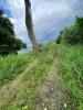 Acheter Terrain Morne-vert 753000 euros