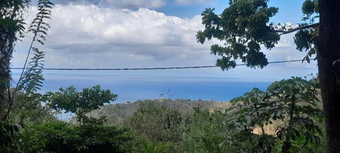 photo For sale Land CASE-PILOTE 972