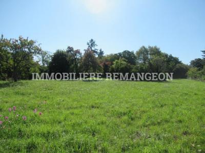 photo For sale Land VOUZON 41