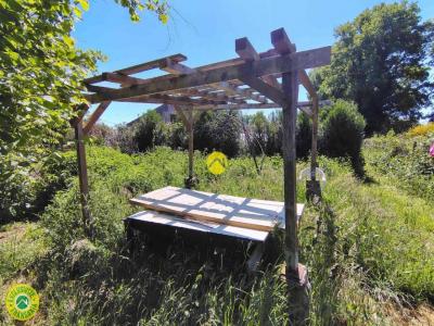 Vente Maison SANCOINS 