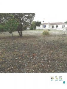 photo For rent House PIBRAC 31