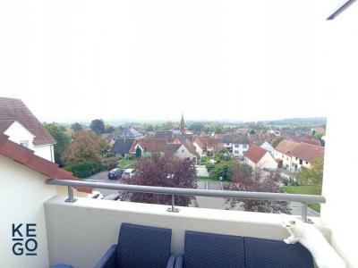 Location Appartement HOCHFELDEN 