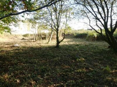 Vente Terrain SAINT-CARADEC-TREGOMEL 56540