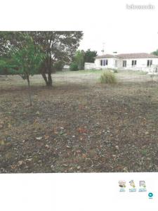 For rent House PIBRAC  31