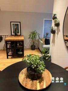 Location Appartement 2 pièces NICE 06000
