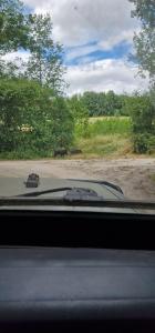 Vente Terrain GENNES 49350