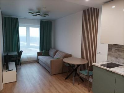 photo For rent Apartment ANNECY 74