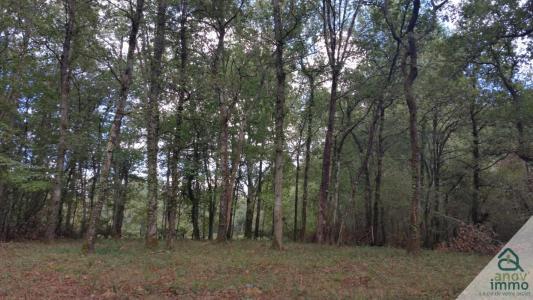 Vente Terrain BLANQUEFORT  33