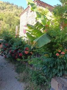 photo For sale House SAINT-ANDRE-DE-VALBORGNE 30