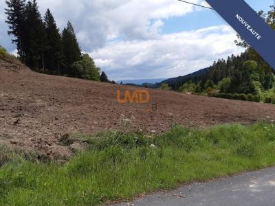 For sale Land MONESTIER  63