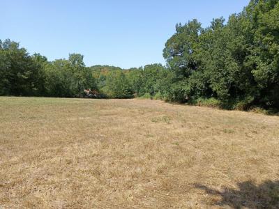Vente Terrain SAIX 81710