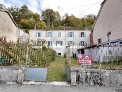 Vente Maison 8 pièces PORT-SUR-SAONE 70170