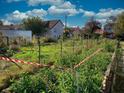 photo For sale Land HAIE-FOUASSIERE 44